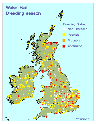 watra_breeding_britirel_08092010.gif