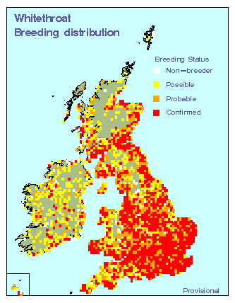 whitethroat_britirel_breeding_01072009.gif