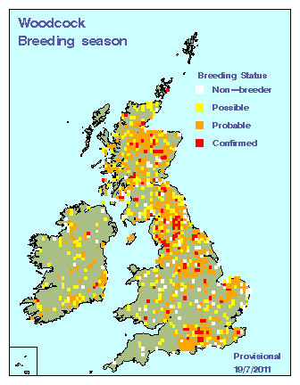 woodcock_breeding_britirel_19072011.gif